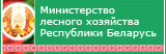 Ministry of Forestry