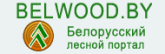 Belarusian Forest Portal